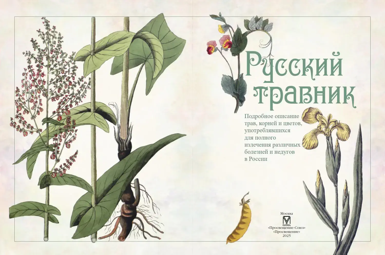 Развороты 3–4 — Русский травник