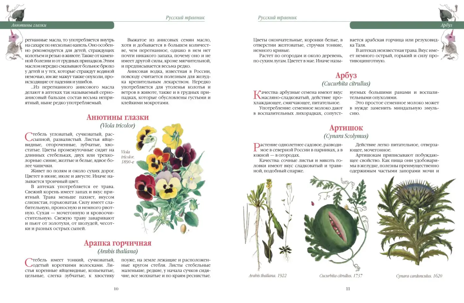 Развороты 5–6 — Русский травник