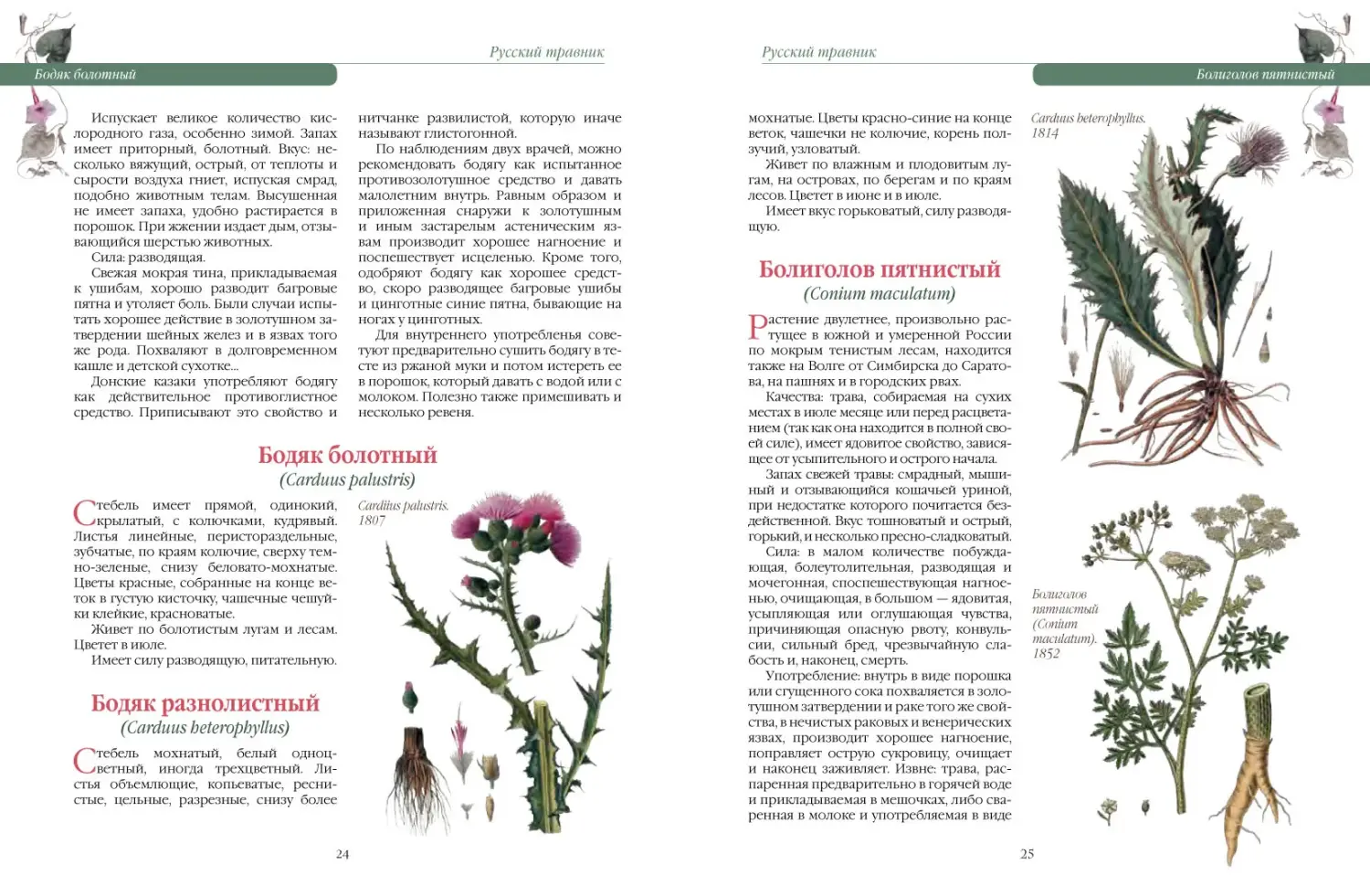 Развороты 5–6 — Русский травник