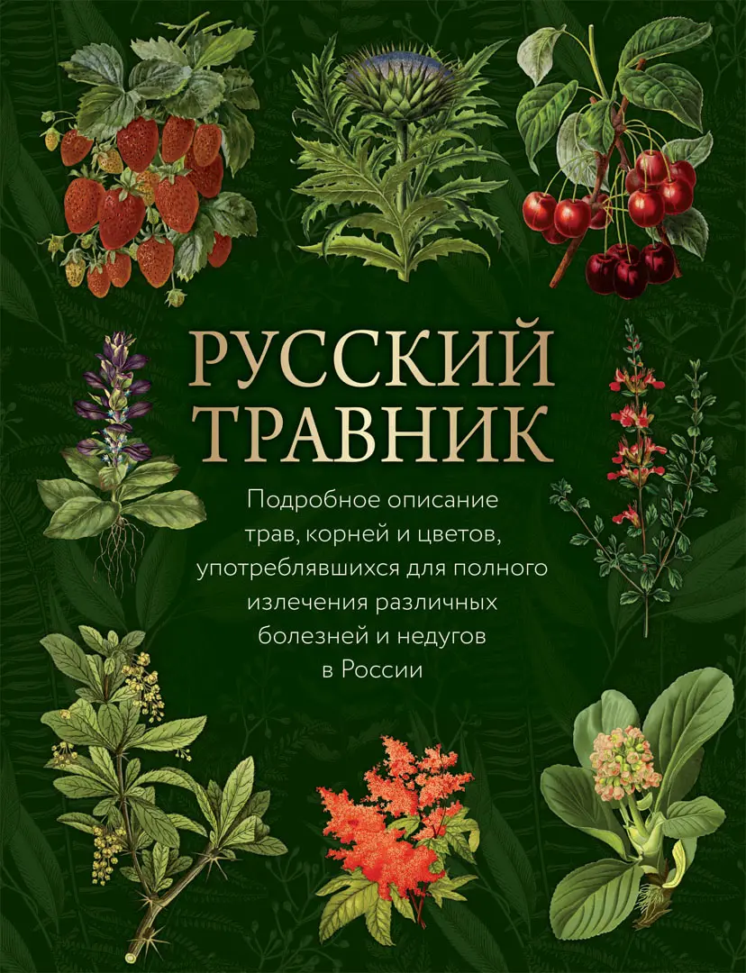 Русский травник — Горецкий В.; Второв В.