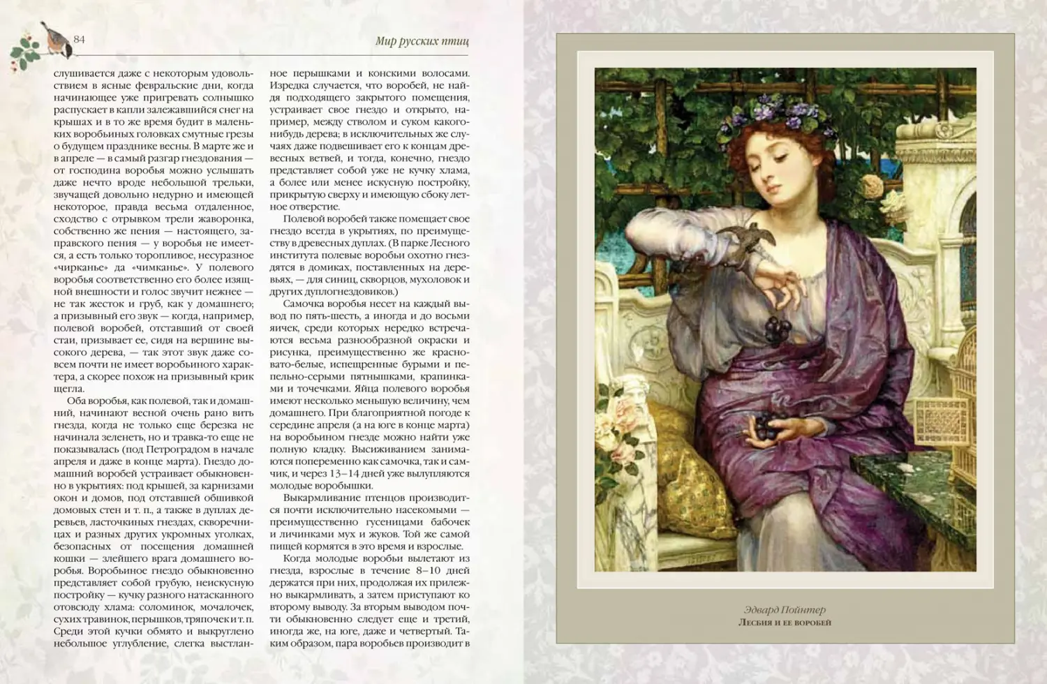Развороты 1–2 — Мир русских птиц. Пернатое царство