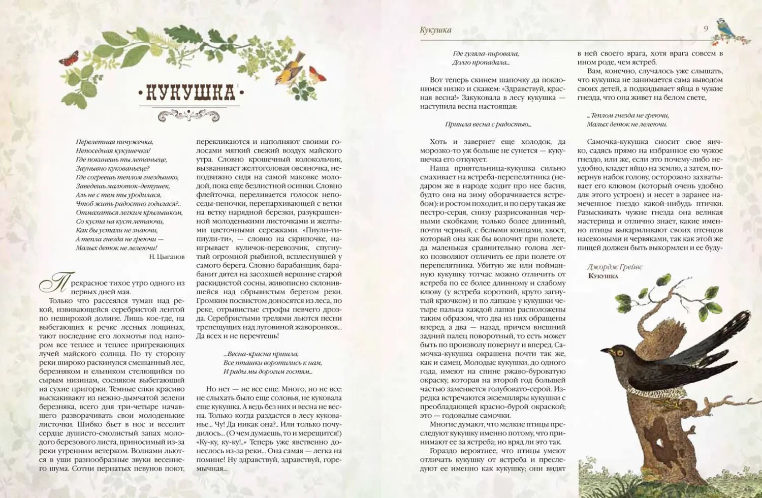 Развороты 3–4 — Мир русских птиц. Пернатое царство