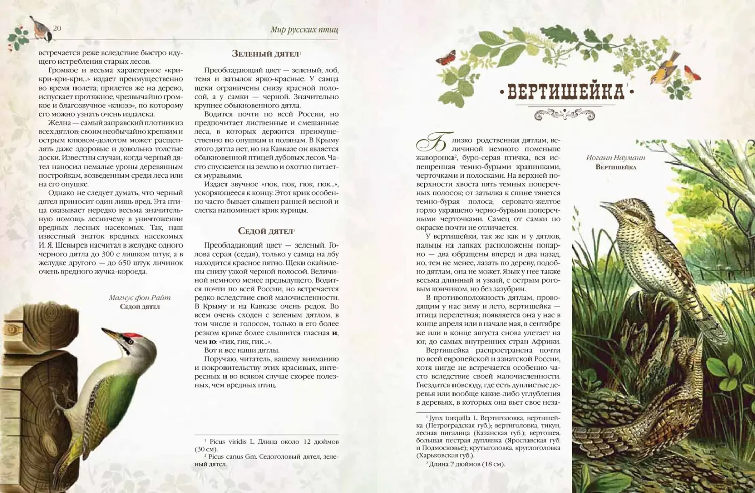 Развороты 5–6 — Мир русских птиц. Пернатое царство