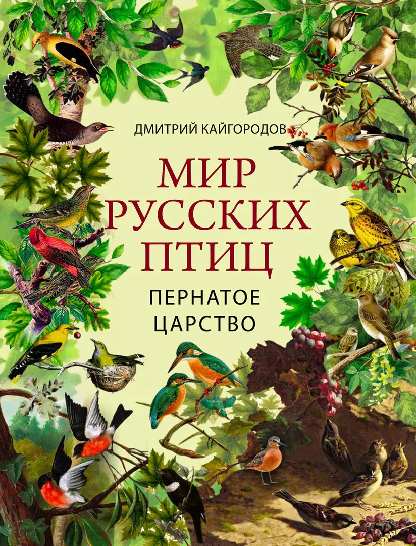 Мир русских птиц. Пернатое царство — Кайгородов Дмитрий Никифорович