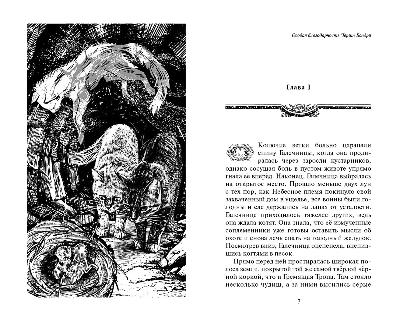 Развороты 3–4 — Коты-воители. Сборник. "Нерассказанные истории". С