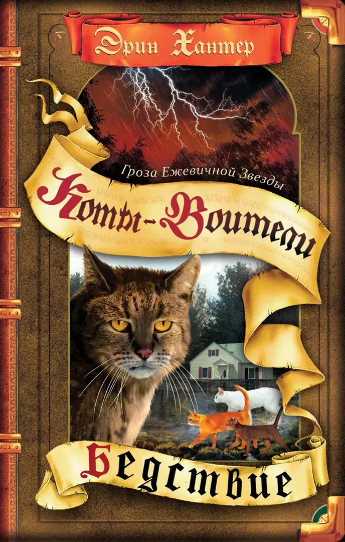 Коты-воители. Гроза Ежевичной Звезды. Бедствие. — Хантер Эрин